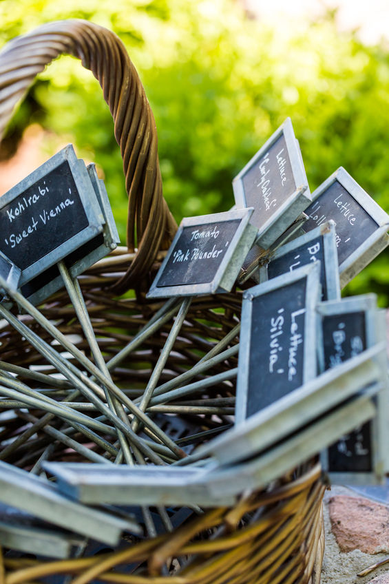 Metal Garden Markers Can Help You Find Your Seedlings No Matter