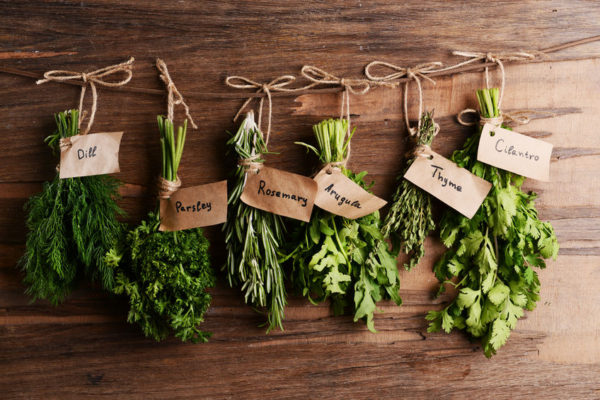 Identifying Herbs for Your First Herb Garden – Kincaid Plant Markers